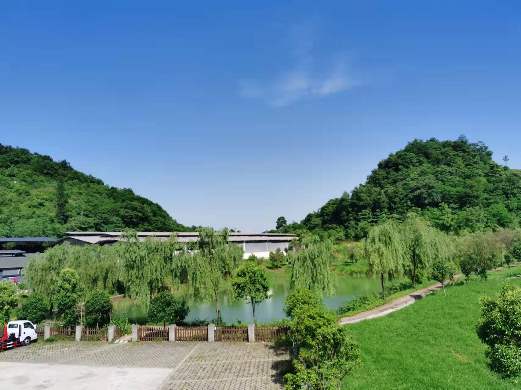 養牛場